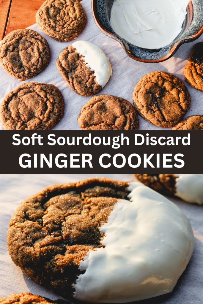 white chocolate dipped ginger cookies with a bowl of white chocolate and an upclose picture of a dipped cookie