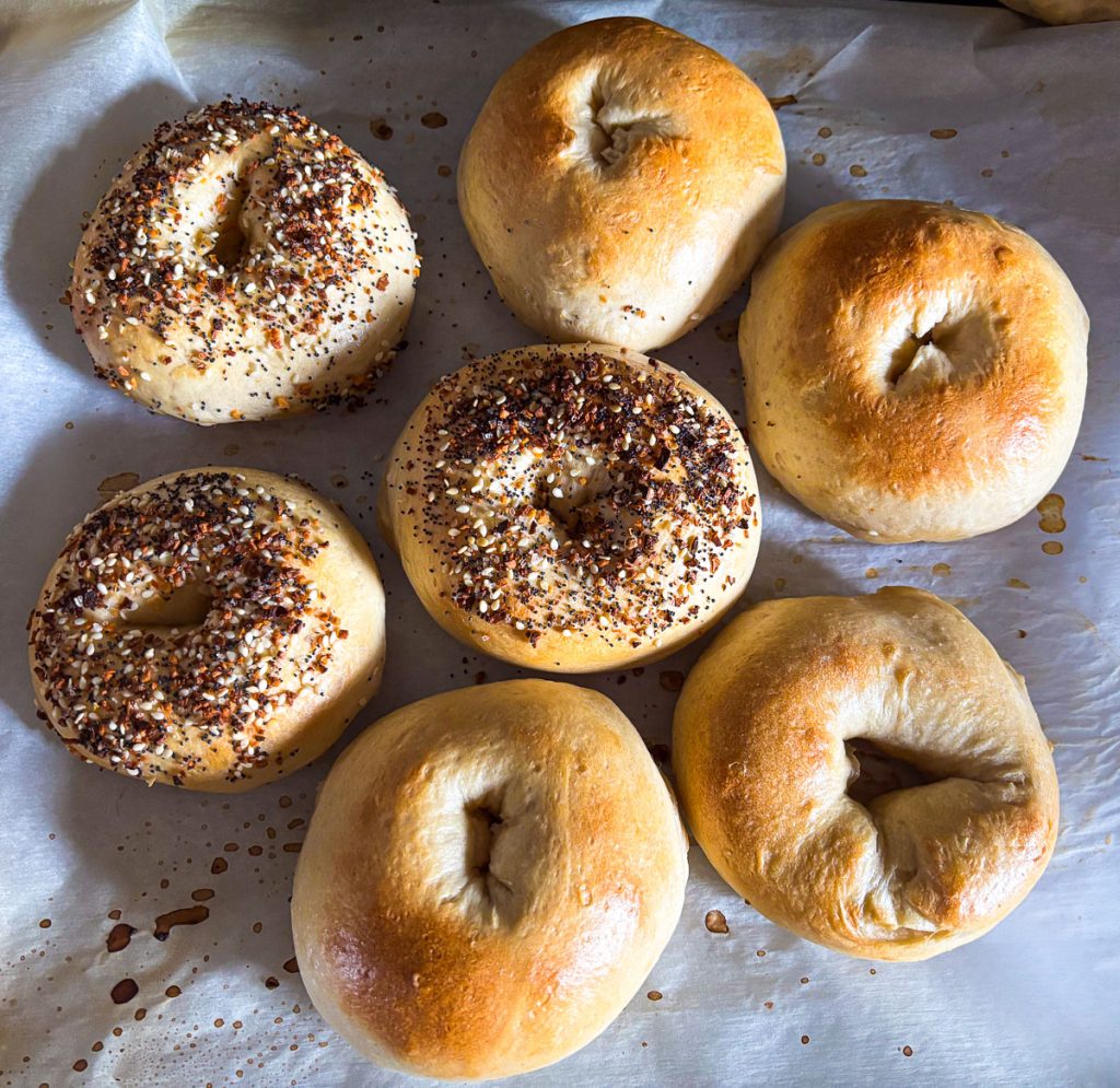 Baked sourdough bagels cooling on parchment-lined baking sheet.