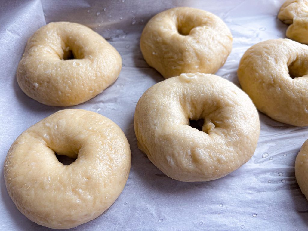 Boiled but unbaked sourdough bagels resting on a parchment-lined tray.