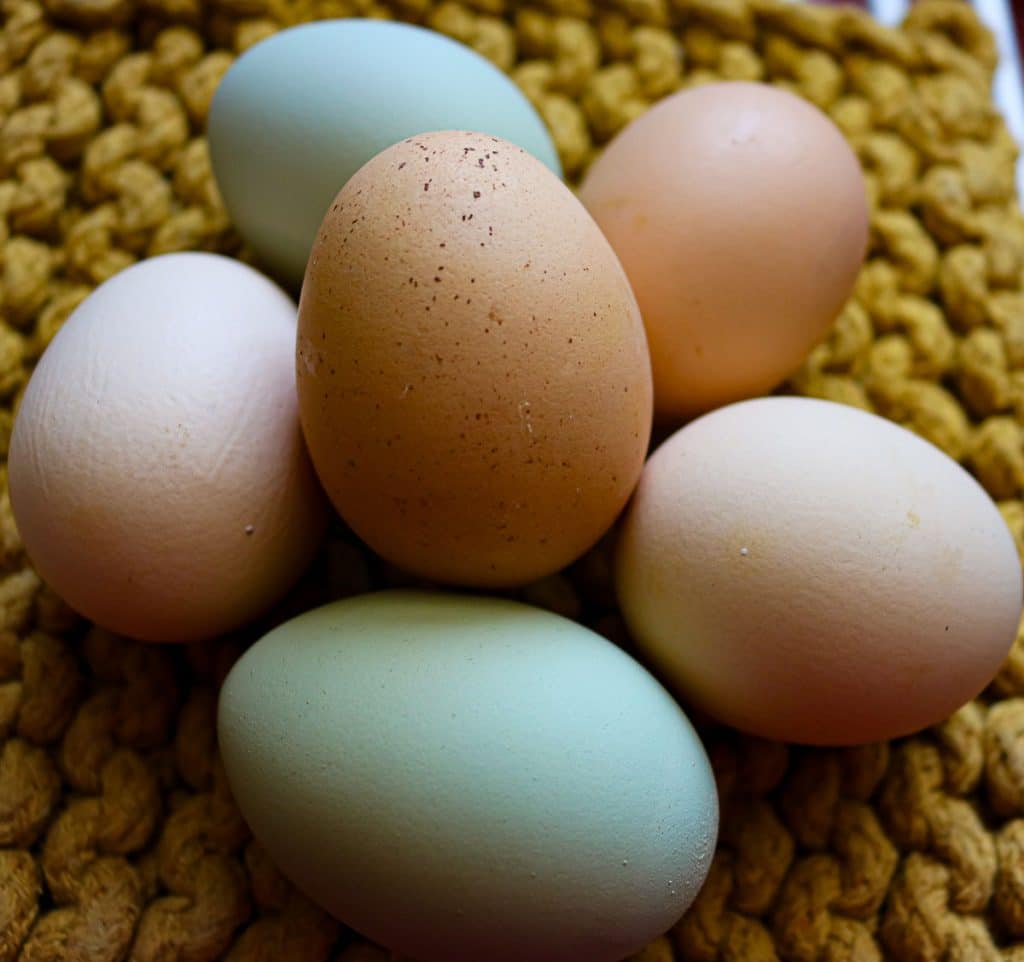 five colorful eggs on a yellow knit pot holder