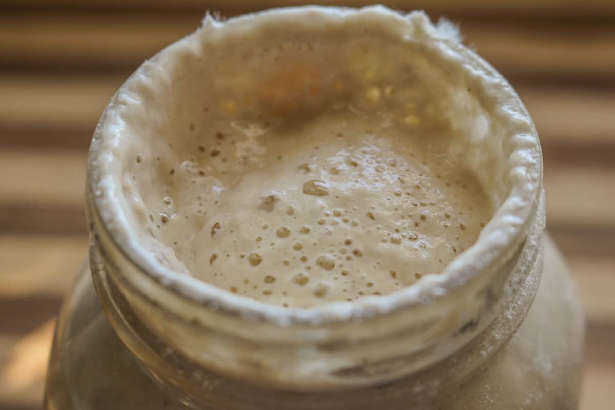 jar of bubbly sourdough starter