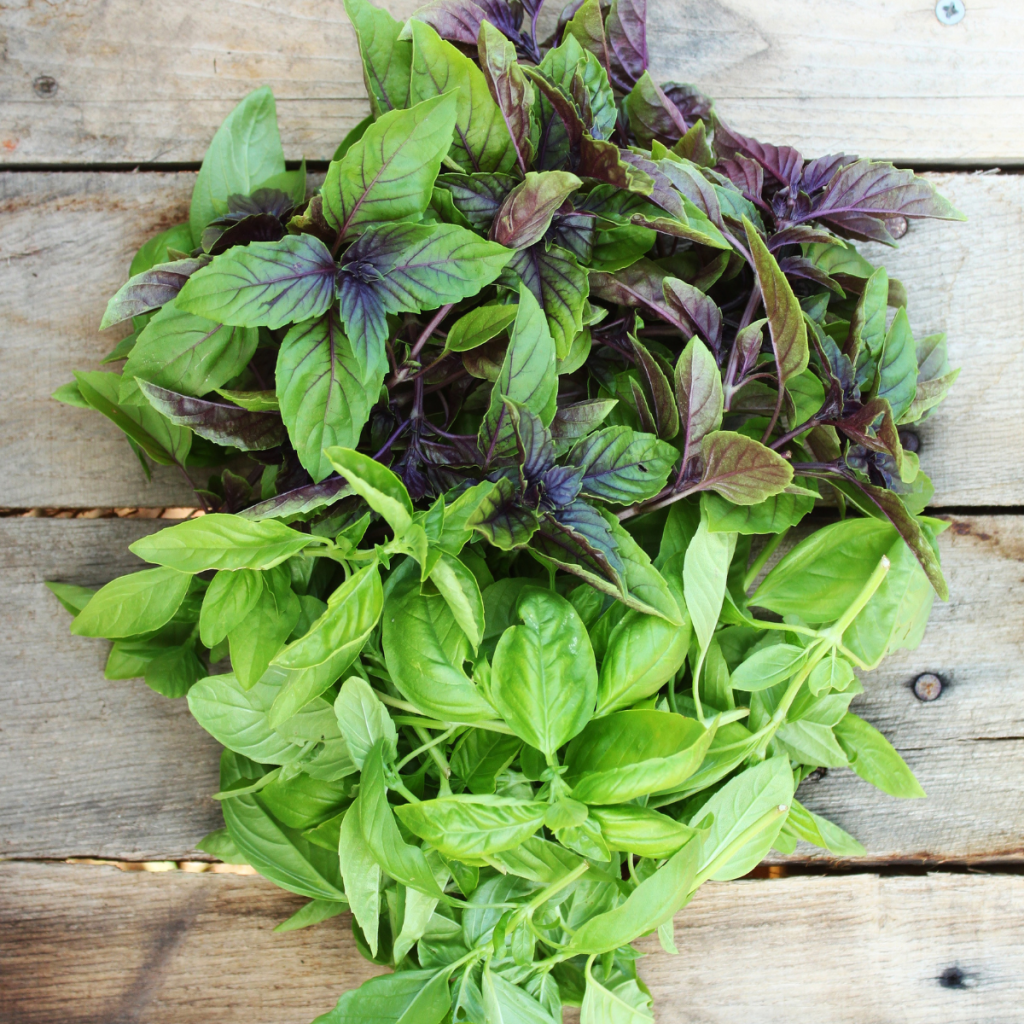 a pile of green and purple basil on wood