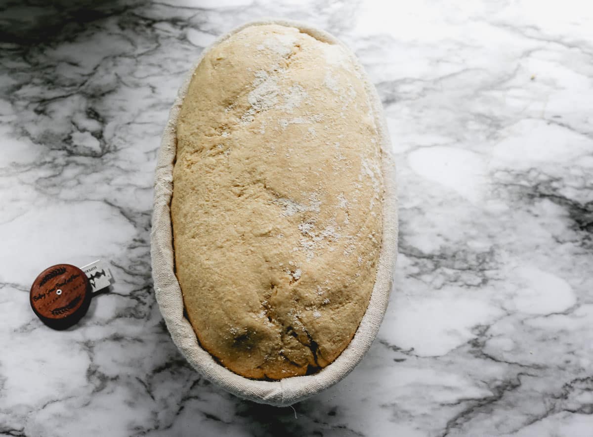 batard loaf in proofing basket on a marble counter