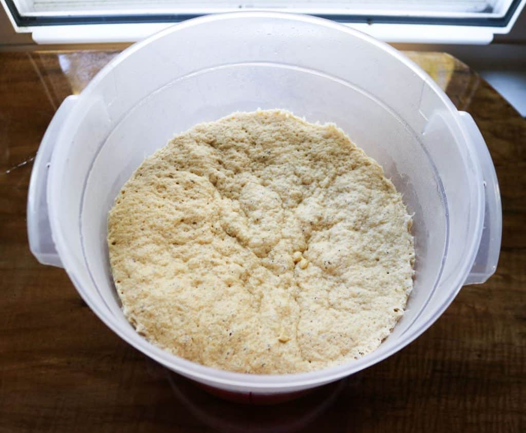 cinnamon roll dough proofing