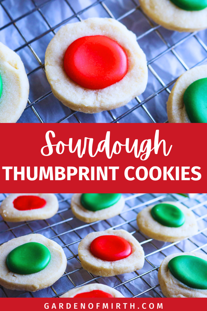 sourdough thumbprint cookie pinterest pin