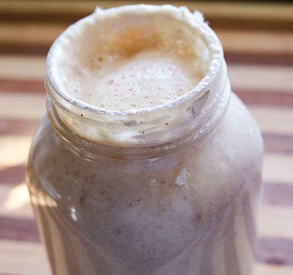 Close-up of active sourdough starter with bubbles along the surface