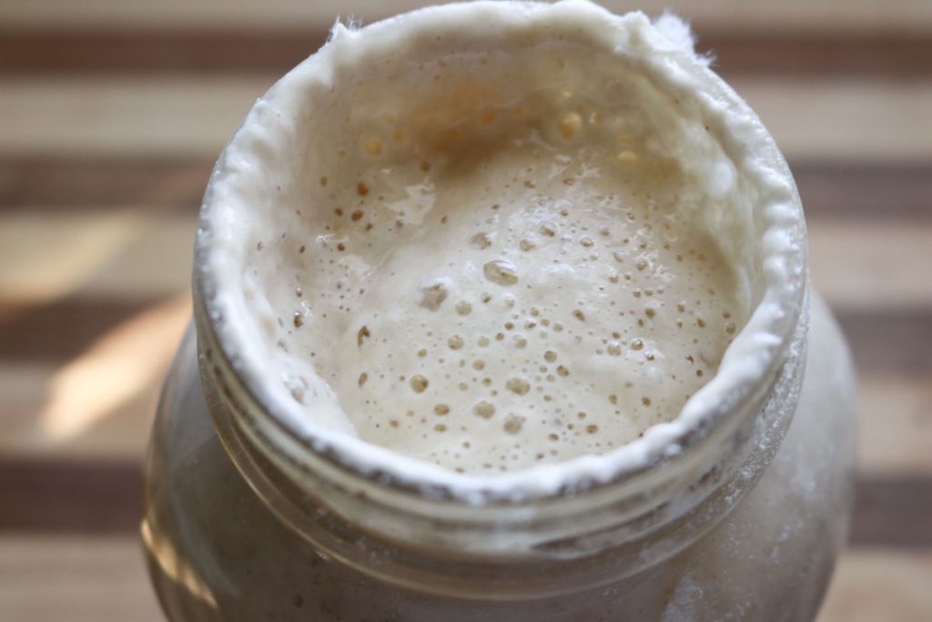 Active sourdough starter showing bubbles and rise