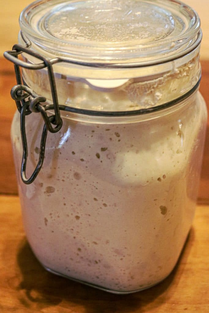 Sourdough starter rising in a glass jar after feeding