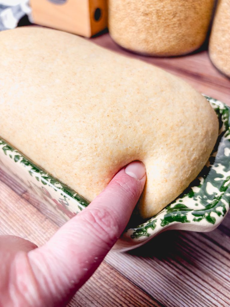 Finger gently pressing into proofed honey wheat dough to test rise level before baking.