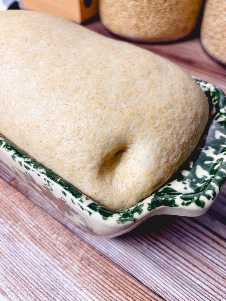 Proofed honey wheat bread dough in a loaf pan with a small finger indentation to test readiness.
