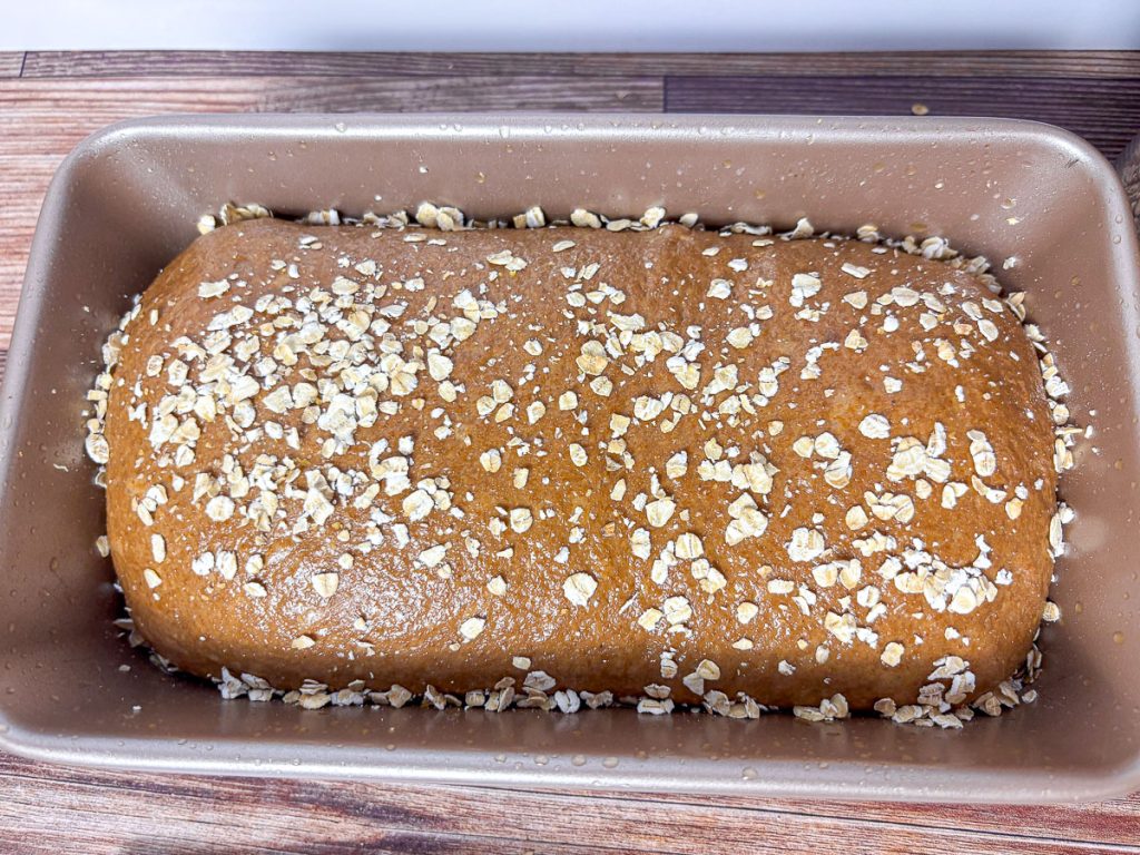 a brown bread loaf on the second rise topped with oats