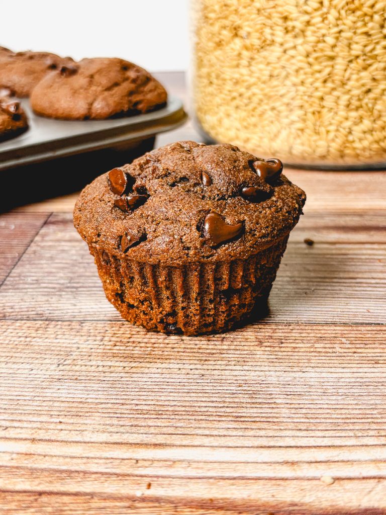 upclose double chocolate chip muffin without a liner in front of a container of wheat berries or full tray of muffins