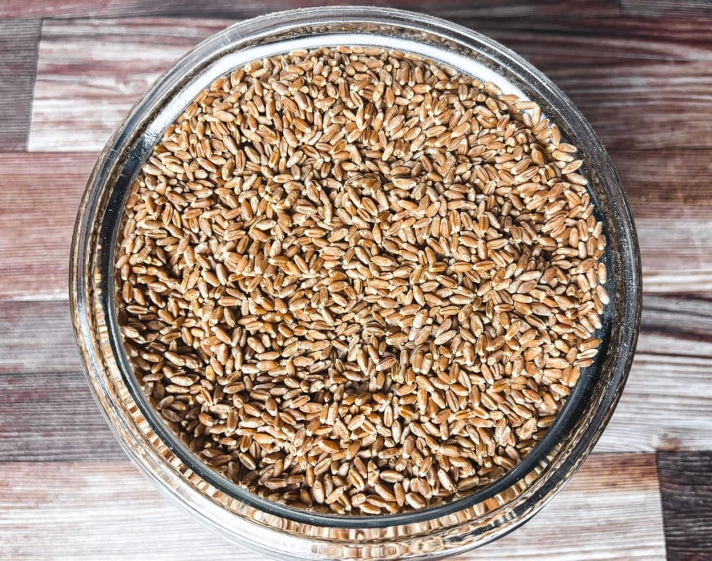 hard red wheat berries in a glass jar
